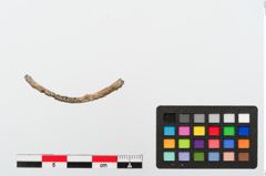 Foto von Bleiarmring (NHMW-PRAE-024157)